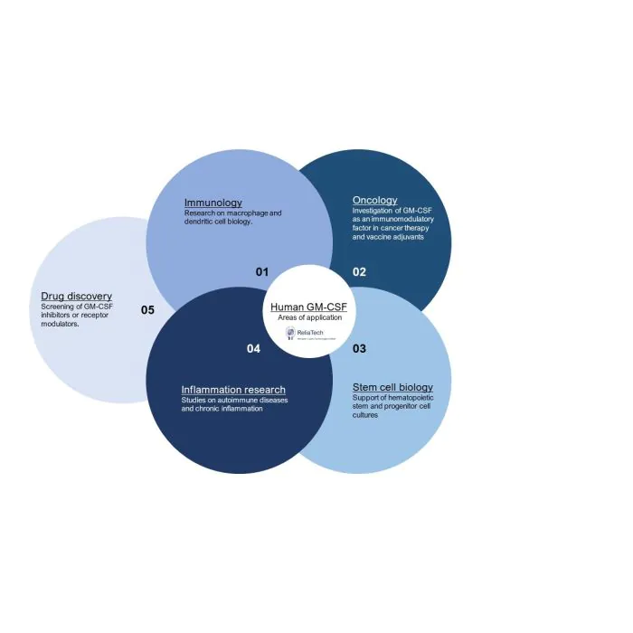 human GM-CSF protein (His-Tag) human GM-CSF protein (His-Tag)