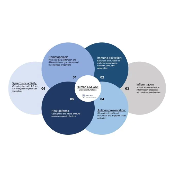 human GM-CSF protein (His-Tag) human GM-CSF protein (His-Tag)