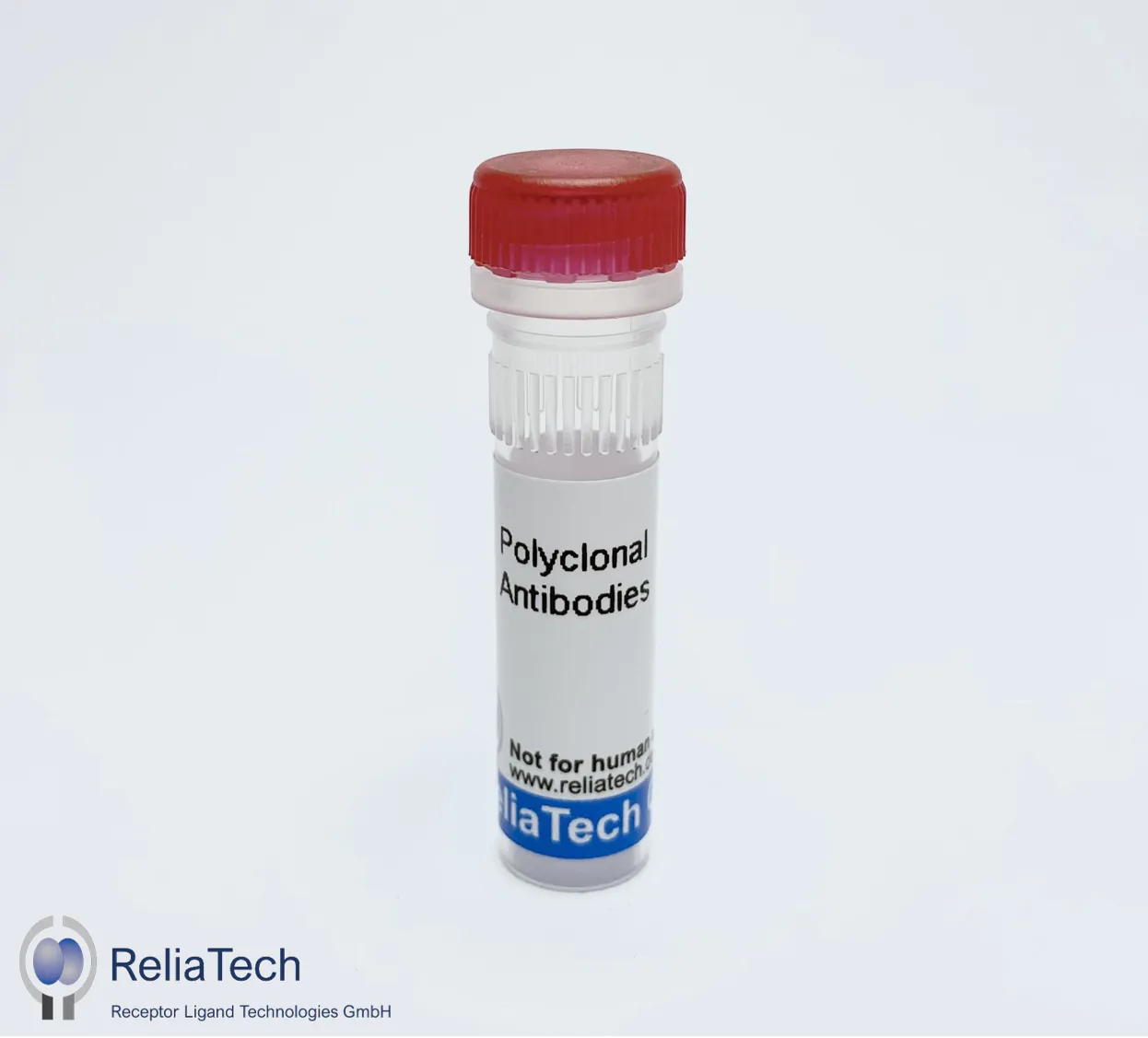 anti-human Prox-1 polyclonal antibody